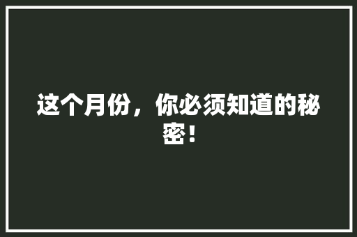 这个月份，你必须知道的秘密！ 百度SEO