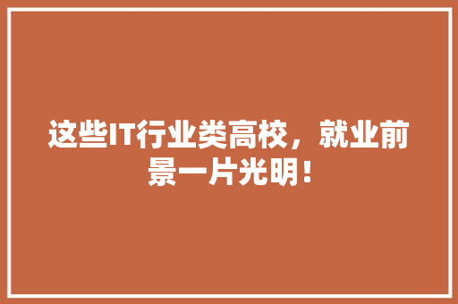 这些IT行业类高校，就业前景一片光明！
