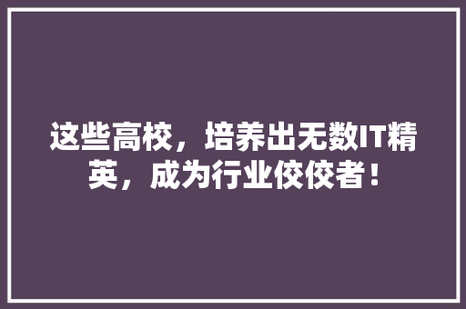 这些高校，培养出无数IT精英，成为行业佼佼者！ 百度SEO