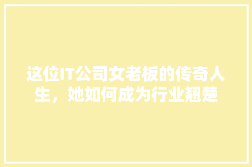 这位IT公司女老板的传奇人生，她如何成为行业翘楚