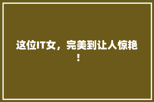 这位IT女，完美到让人惊艳！