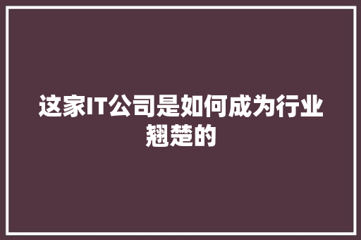 这家IT公司是如何成为行业翘楚的