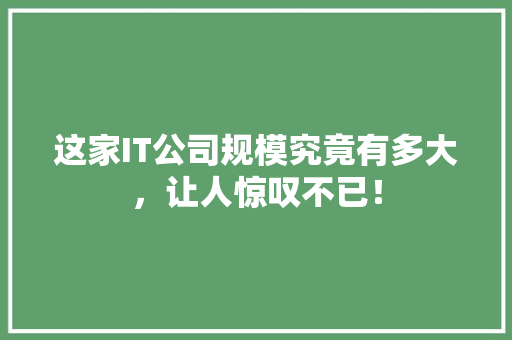 这家IT公司规模究竟有多大，让人惊叹不已！