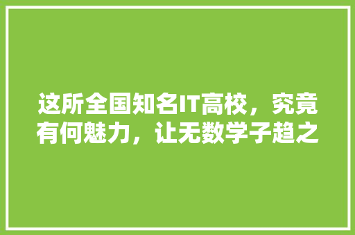 这所全国知名IT高校，究竟有何魅力，让无数学子趋之若鹜 必应SEO