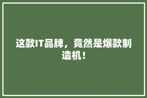 这款IT品牌，竟然是爆款制造机！