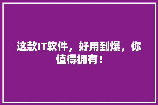 这款IT软件，好用到爆，你值得拥有！ 百度SEO