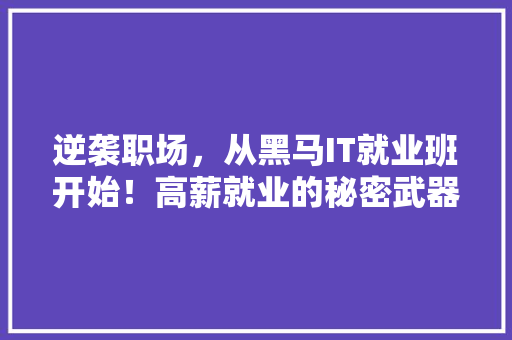 逆袭职场，从黑马IT就业班开始！高薪就业的秘密武器！