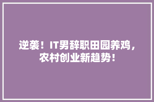 逆袭！IT男辞职田园养鸡，农村创业新趋势！