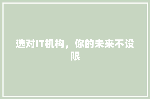 选对IT机构，你的未来不设限