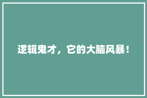 逻辑鬼才，它的大脑风暴！