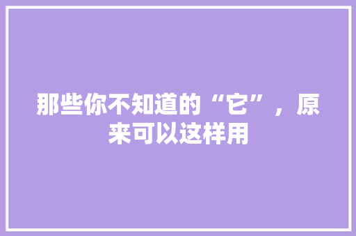 那些你不知道的“它”，原来可以这样用