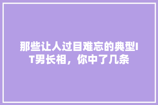 那些让人过目难忘的典型IT男长相，你中了几条