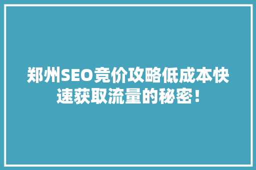 郑州SEO竞价攻略低成本快速获取流量的秘密！
