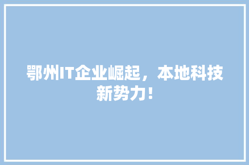 鄂州IT企业崛起，本地科技新势力！