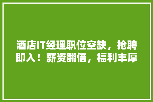 酒店IT经理职位空缺，抢聘即入！薪资翻倍，福利丰厚！ 必应SEO