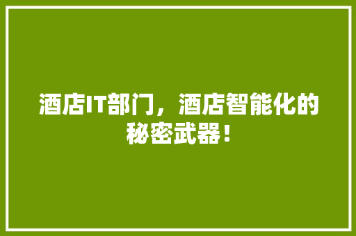 酒店IT部门，酒店智能化的秘密武器！