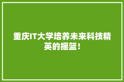 重庆IT大学培养未来科技精英的摇篮！ GoogleSEO