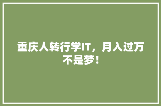 重庆人转行学IT，月入过万不是梦！
