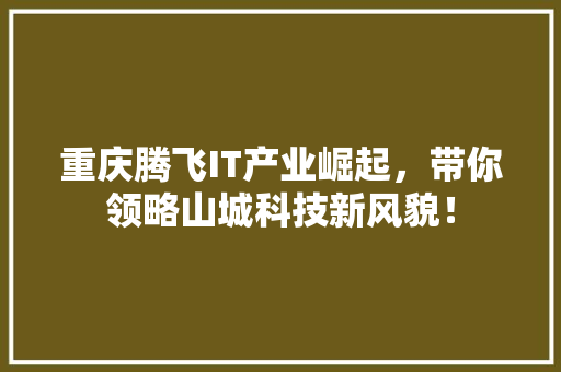 重庆腾飞IT产业崛起，带你领略山城科技新风貌！