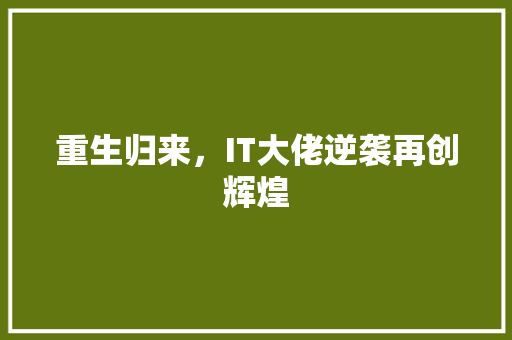 重生归来，IT大佬逆袭再创辉煌