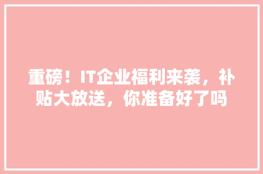 重磅！IT企业福利来袭，补贴大放送，你准备好了吗