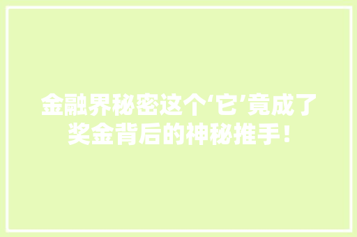 金融界秘密这个‘它’竟成了奖金背后的神秘推手！ GoogleSEO