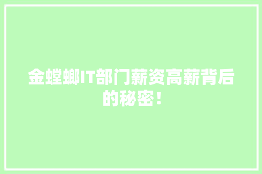 金螳螂IT部门薪资高薪背后的秘密！ GoogleSEO
