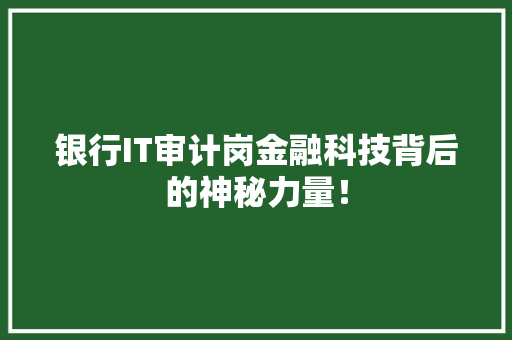 银行IT审计岗金融科技背后的神秘力量！