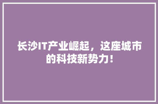 长沙IT产业崛起，这座城市的科技新势力！