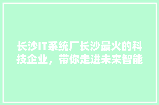 长沙IT系统厂长沙最火的科技企业，带你走进未来智能时代！