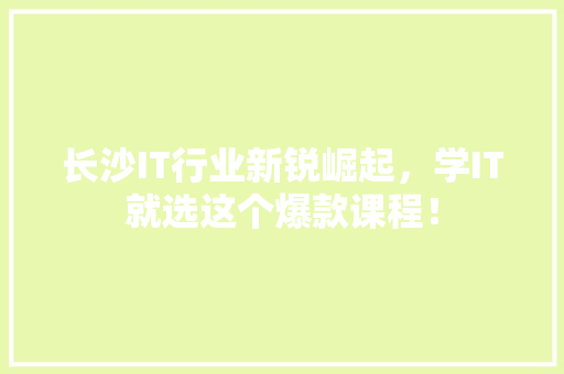 长沙IT行业新锐崛起，学IT就选这个爆款课程！