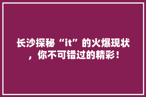 长沙探秘“it”的火爆现状，你不可错过的精彩！ 百度SEO