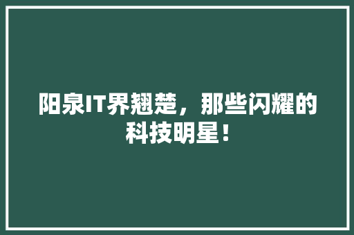 阳泉IT界翘楚，那些闪耀的科技明星！