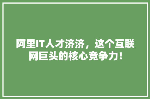 阿里IT人才济济，这个互联网巨头的核心竞争力！