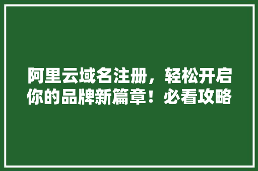 阿里云域名注册，轻松开启你的品牌新篇章！必看攻略！