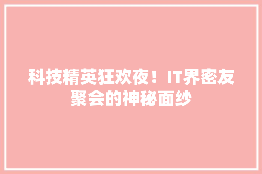 科技精英狂欢夜！IT界密友聚会的神秘面纱 神马SEO
