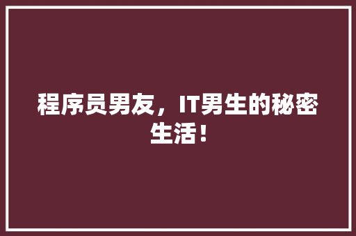 程序员男友，IT男生的秘密生活！ 搜狗SEO