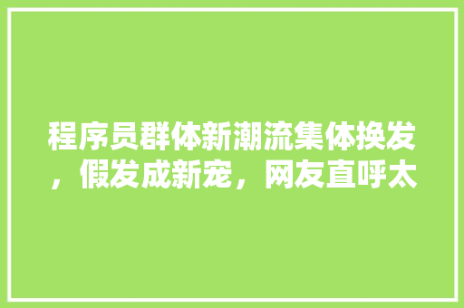程序员群体新潮流集体换发，假发成新宠，网友直呼太潮了！ 搜狗SEO