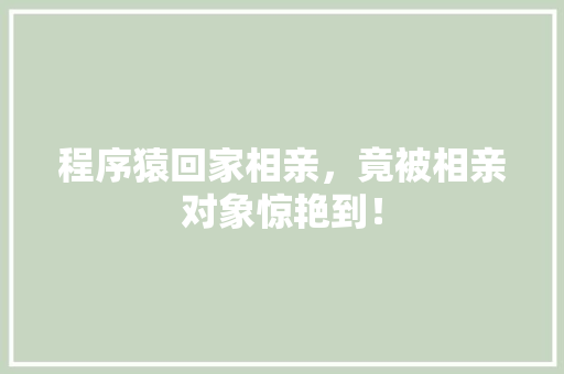 程序猿回家相亲，竟被相亲对象惊艳到！