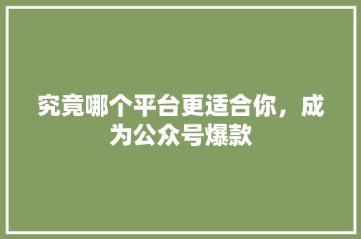 究竟哪个平台更适合你，成为公众号爆款