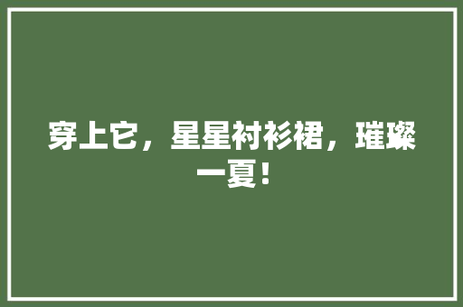 穿上它，星星衬衫裙，璀璨一夏！ 神马SEO