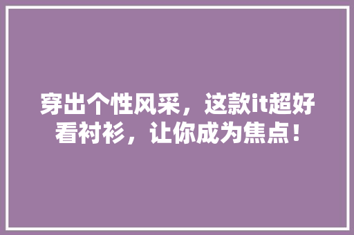 穿出个性风采，这款it超好看衬衫，让你成为焦点！ 神马SEO