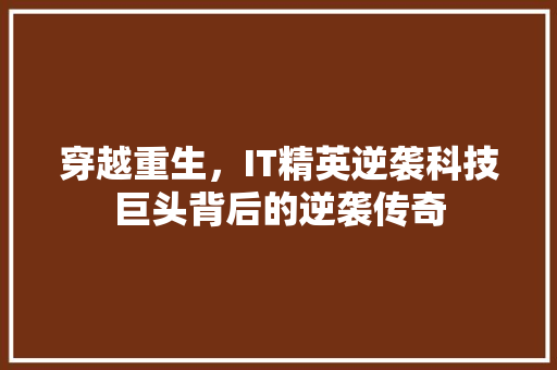 穿越重生，IT精英逆袭科技巨头背后的逆袭传奇