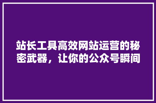 站长工具高效网站运营的秘密武器，让你的公众号瞬间爆款！