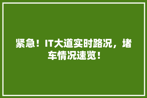 紧急！IT大道实时路况，堵车情况速览！
