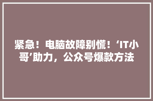 紧急！电脑故障别慌！‘IT小哥’助力，公众号爆款方法大公开！ 搜狗SEO