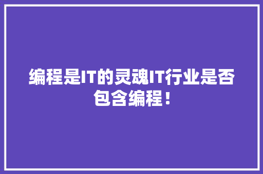 编程是IT的灵魂IT行业是否包含编程！