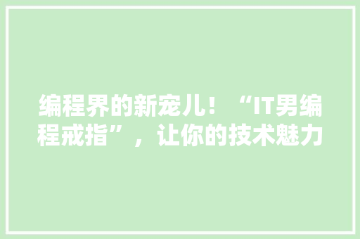 编程界的新宠儿！“IT男编程戒指”，让你的技术魅力无限放大！ 神马SEO