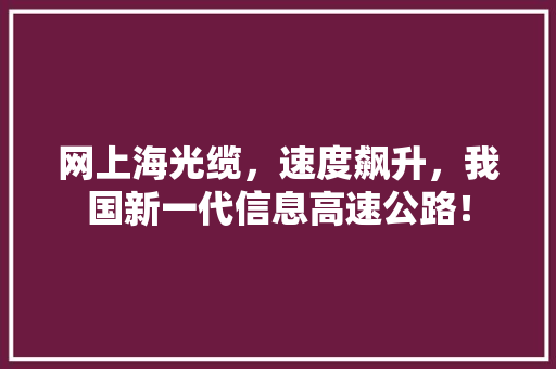 网上海光缆，速度飙升，我国新一代信息高速公路！