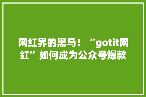 网红界的黑马！“gotit网红”如何成为公众号爆款